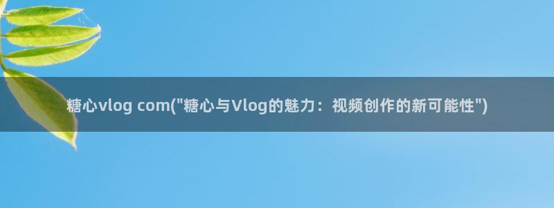 糖心vlog棒棒糖