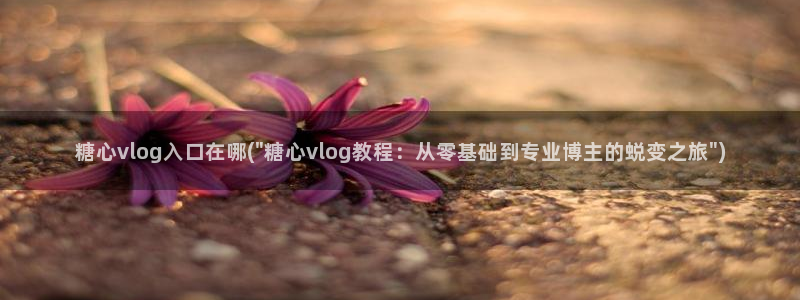 糖心vlog蜘蛛：糖心vlog入口在哪(