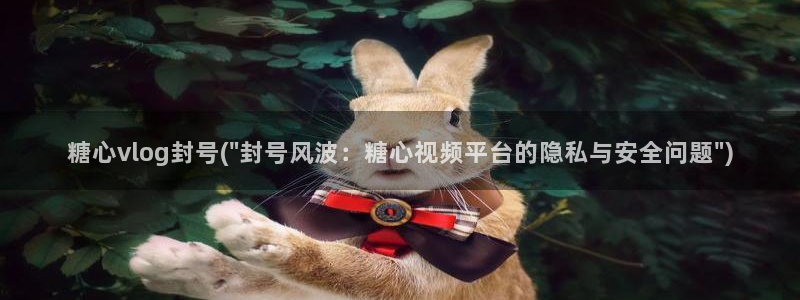 vip糖心Vlog：糖心vlog封号(\