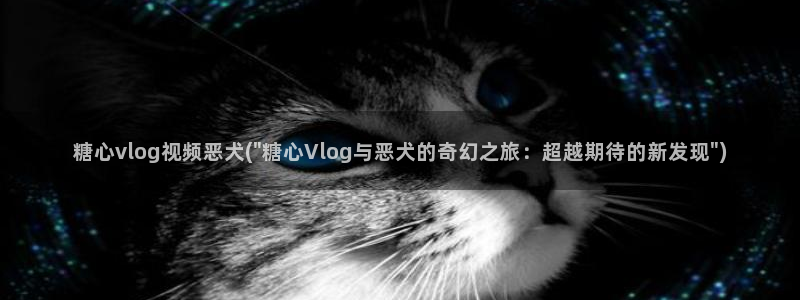 甜蜜惩罚糖心vlog
