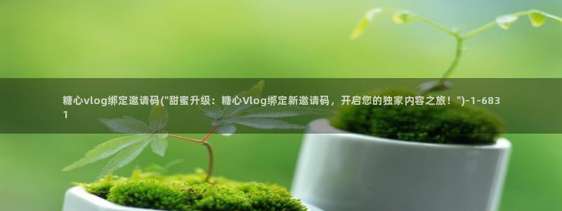 糖心vlog网站免费