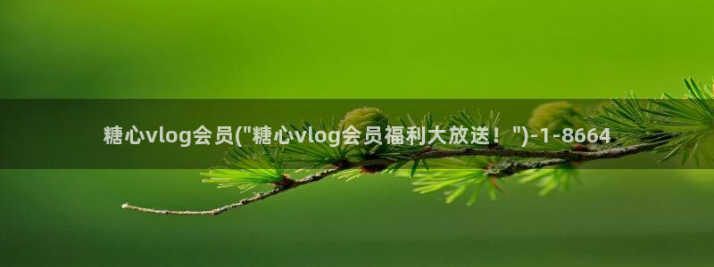 vlog糖心官网下载