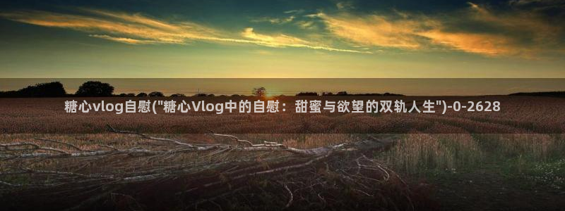 糖心vlog包包