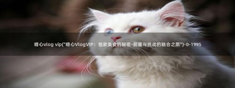 董小姐糖心vlog：糖心vlog vip(\