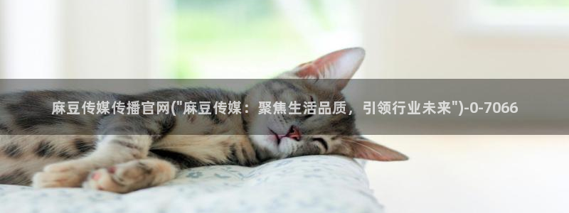 麻豆完整版页面：麻豆传媒传播官网(\