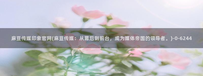 麻豆视频官方资源：麻豆传媒印象官网(麻豆传媒：从幕后