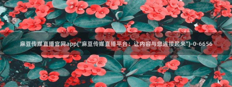 麻豆高清专区：麻豆传媒直播官网app(\