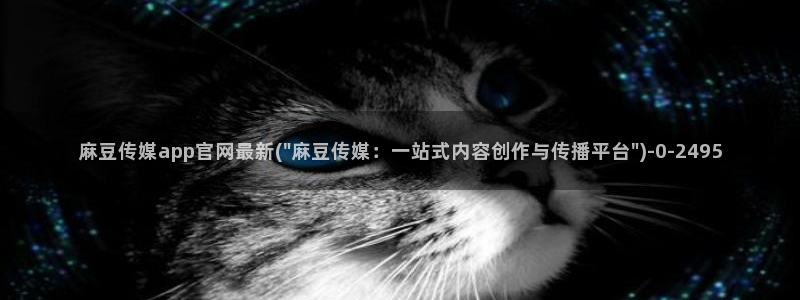 麻豆官方推荐：麻豆传媒app官网最新(\