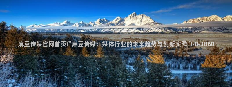 麻豆 高清视频：麻豆传媒官网首页(\