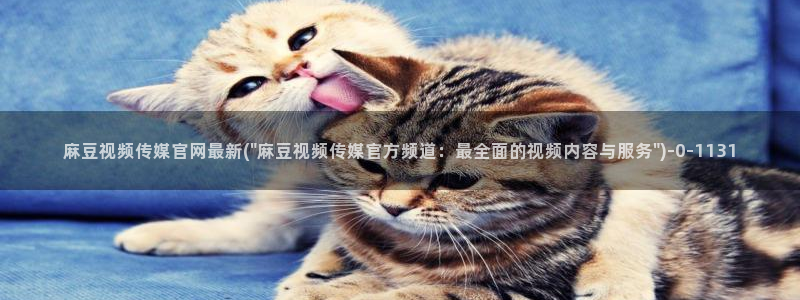 麻豆精选更新：麻豆视频传媒官网最新(\