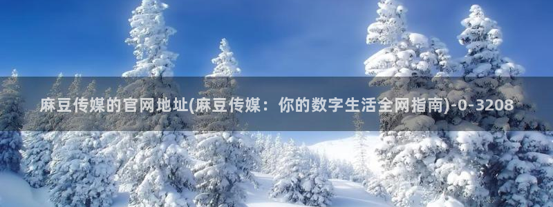 麻豆视频站入口：麻豆传媒的官网地址(麻豆传媒：你的数