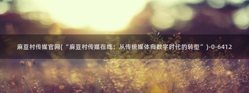 麻豆视频精选入口