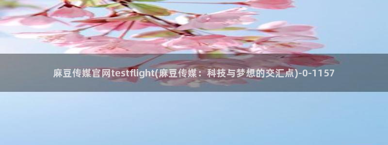 麻豆 资源资源