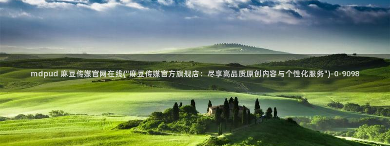麻豆 下载导航