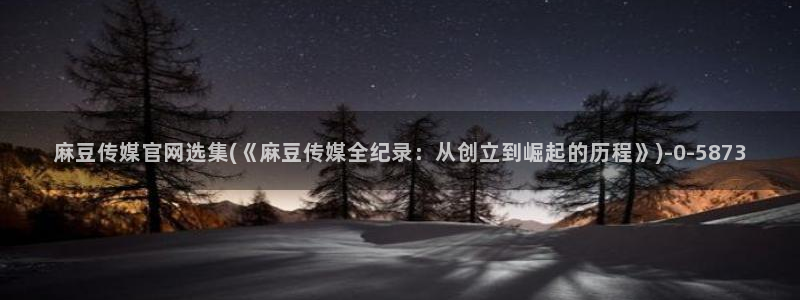 麻豆视频 入口更新