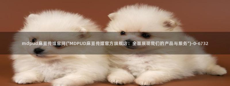 麻豆视频最新导航