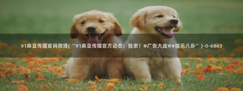 麻豆高清合集