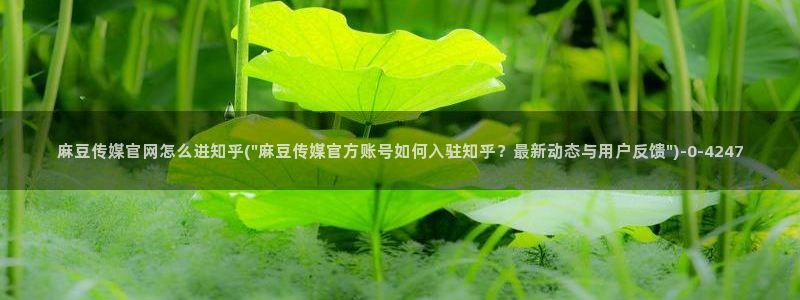 麻豆视频 站
