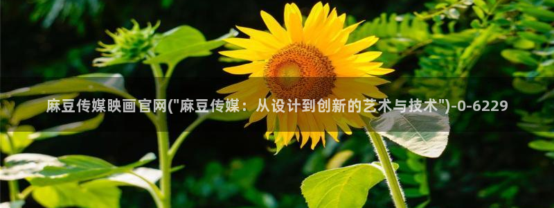 麻豆高清：麻豆传媒眏画官网(\