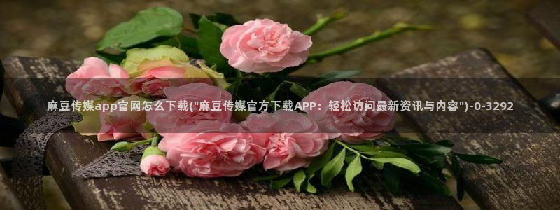 麻豆视频专题