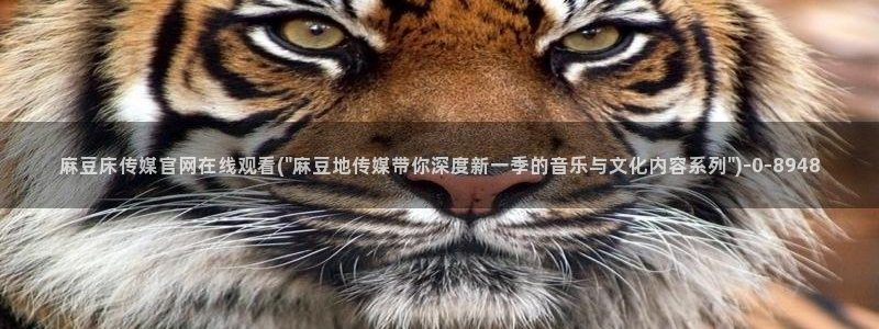 麻豆视频官方推荐