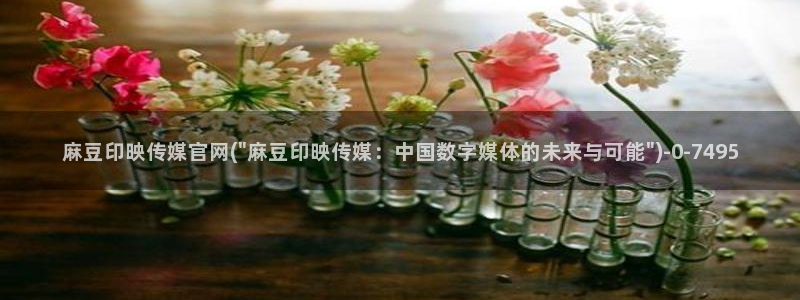 麻豆视频 更新入口
