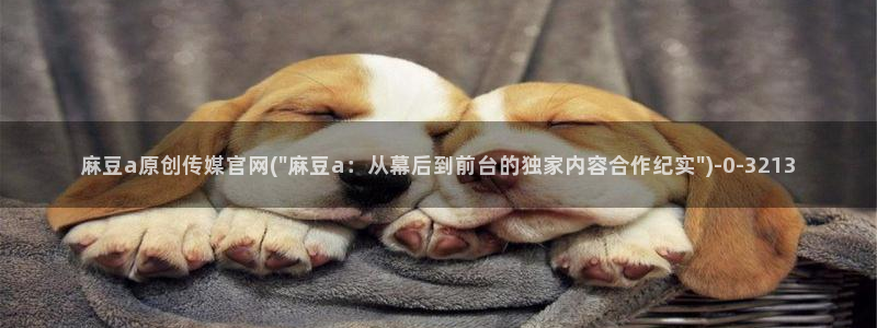 麻豆视频合集最新
