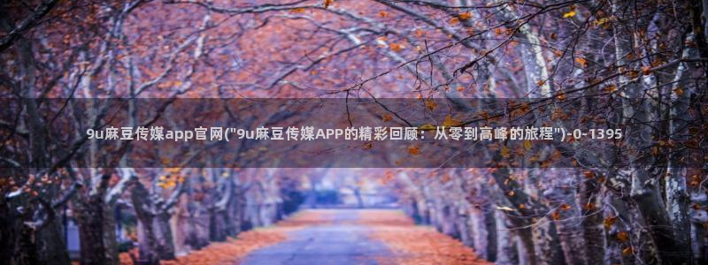 麻豆视频 完整版下载