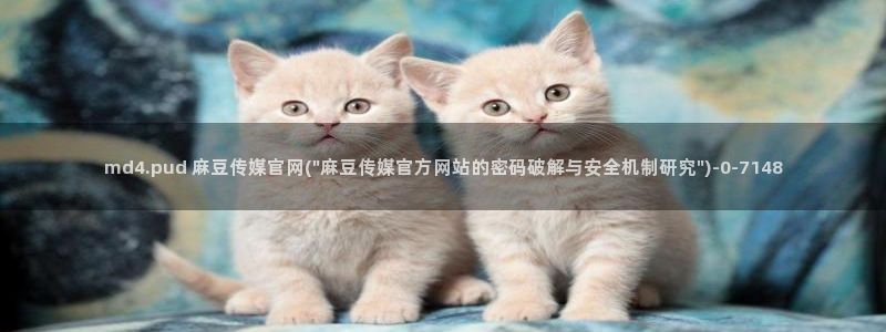 麻豆视频最新高清