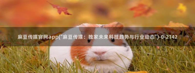 麻豆 资源推荐