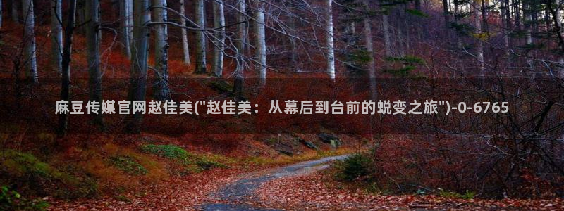 麻豆 精选视频