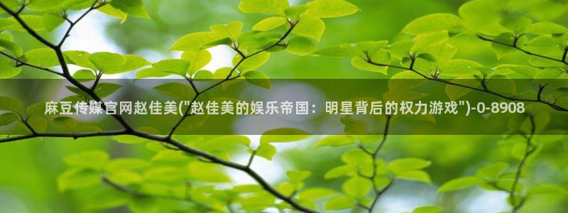 麻豆视频 更新推荐