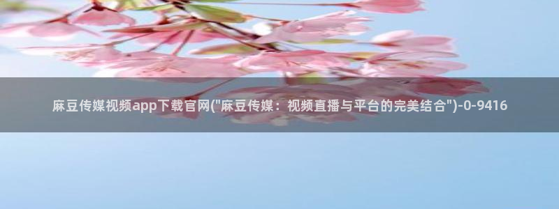 麻豆视频 内容合集