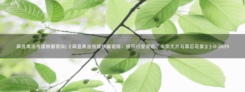 麻豆视频 高清完整版