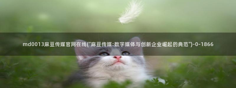 麻豆视频系列页面