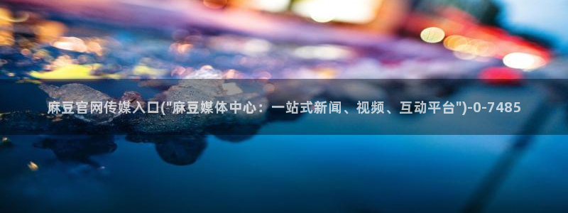 麻豆视频 入口导航